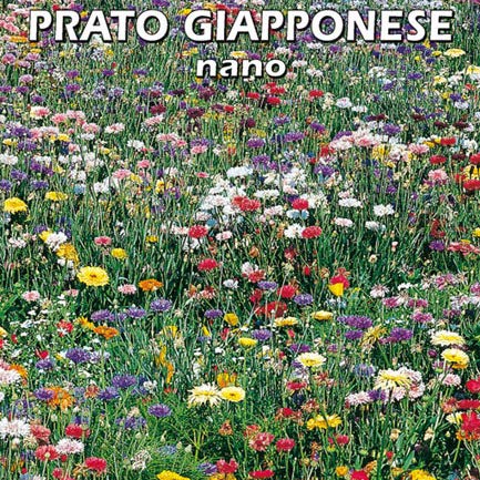 Semi di Prato Fiorito Miscuglio di Fiori Perenni per 35Mq