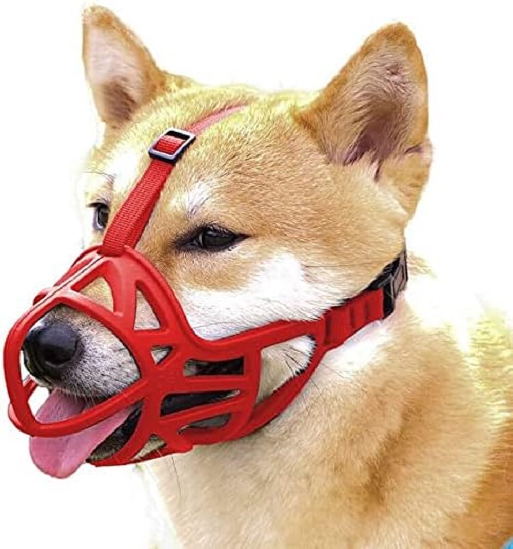 Dog Muzzle, Breathable Basket Muzzle to Prevent Barking, Biting and Chewing, Humane Muzzle for Small, Medium, Large and X-Large Dogs (M)
