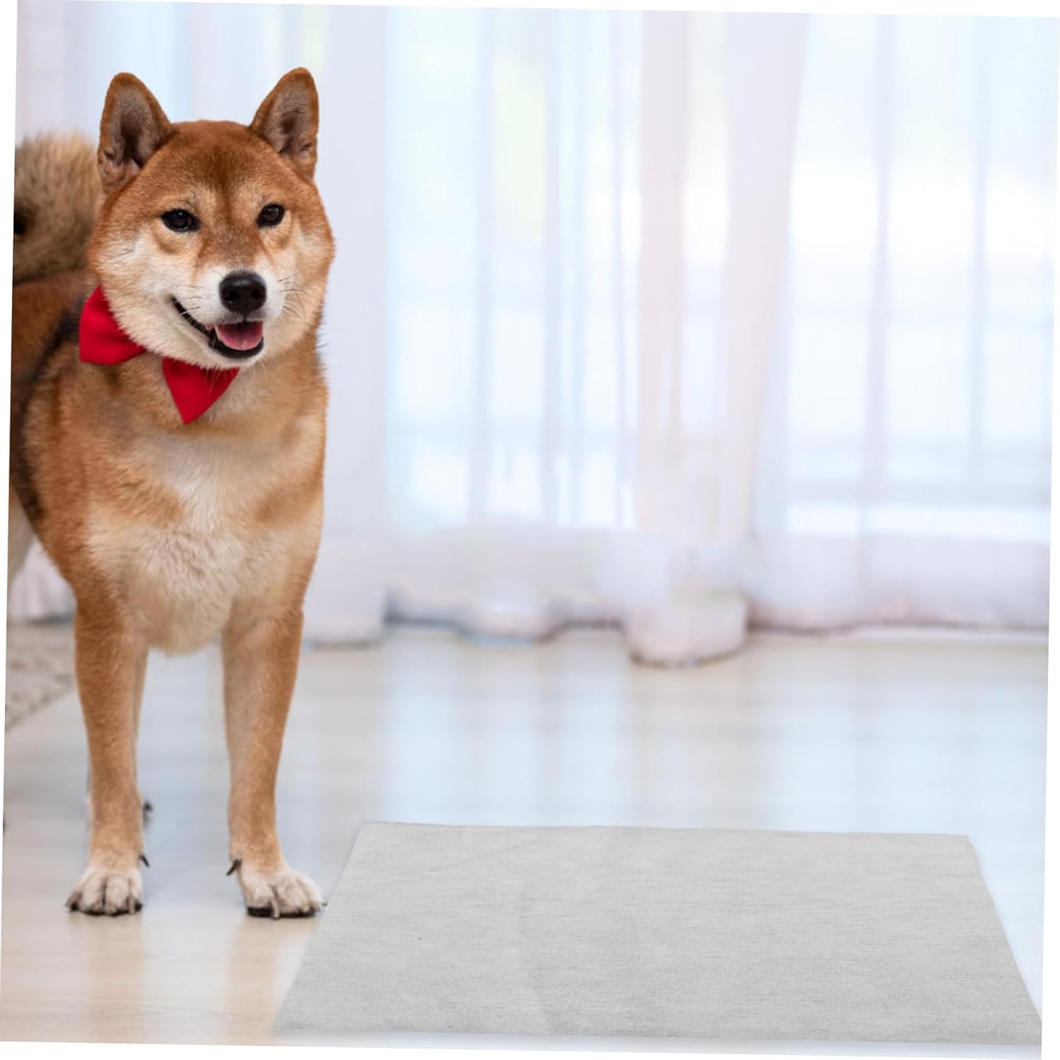 100pcs Pet Pee Pads for Dogs Quick Dry Non Slip Absorbent Potty Mats for Training Puppies and Small Animals Fast Absorption Leakproof for Home Use