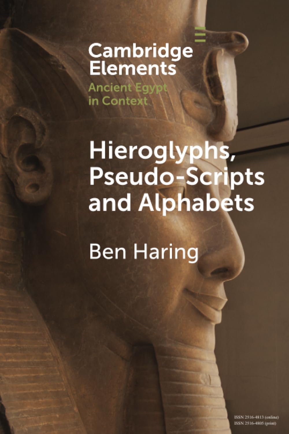 Hieroglyphs, Pseudo-Scripts and Alphabets: Their Use and Reception in Ancient Egypt and Neighbouring Regions (Elements in Ancient Egypt in Context)