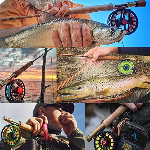 MAXIMUNCATCH V-Gold Fliegenrute IM12 Graphit 4 Teile Fliegenfischen Rute mit Cordura Rohr Angelrute in 4/5/6/8wt – Bild 7