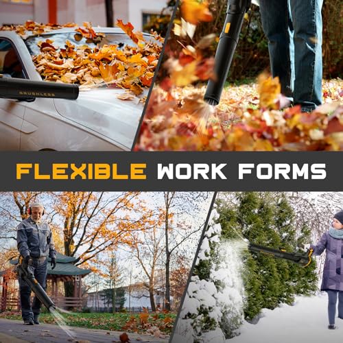 Cordless Leaf Blower and Vacuum