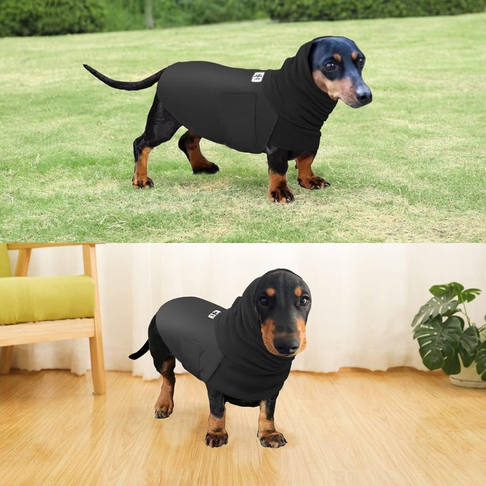 Manteau Extra Chaud Pour Teckel, Manteau Imperméable Pour Chien, Manteau Teckel Sherpa - France