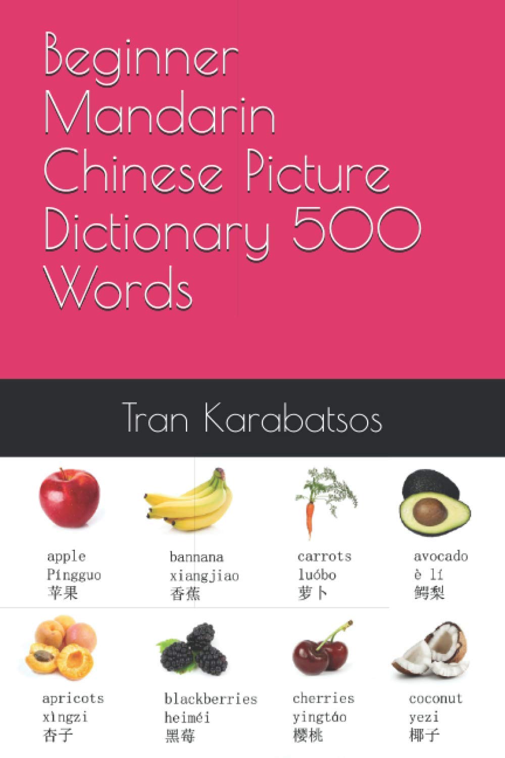 Beginner Mandarin Chinese Picture Dictionary: 500 Words Introducing You To Mandarin Chinese
