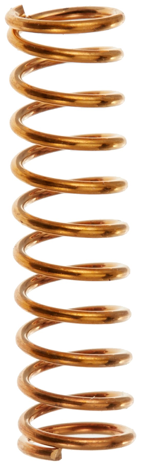 T&S Brass Cartridge Spring