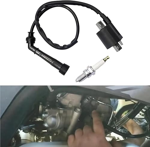 FZJDSD 3YF823700000 1 bobina de encendido y bujía compatible con Yamaha Raptor 660R YFM660R Grizzly 660 Rhino 660 YFM660FA 2001-2008 Reemplazar