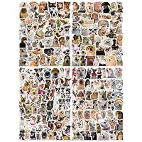 200 Dog Memes Stickers for Kids, Teens, Adults – Cute Holographic Star Vinyl Decals | Waterproof PVC, 2–2.8 Inch Funny Puppy & Breed Stickers for Water Bottles, Laptops, Phones, Notebooks, Scrapbooks