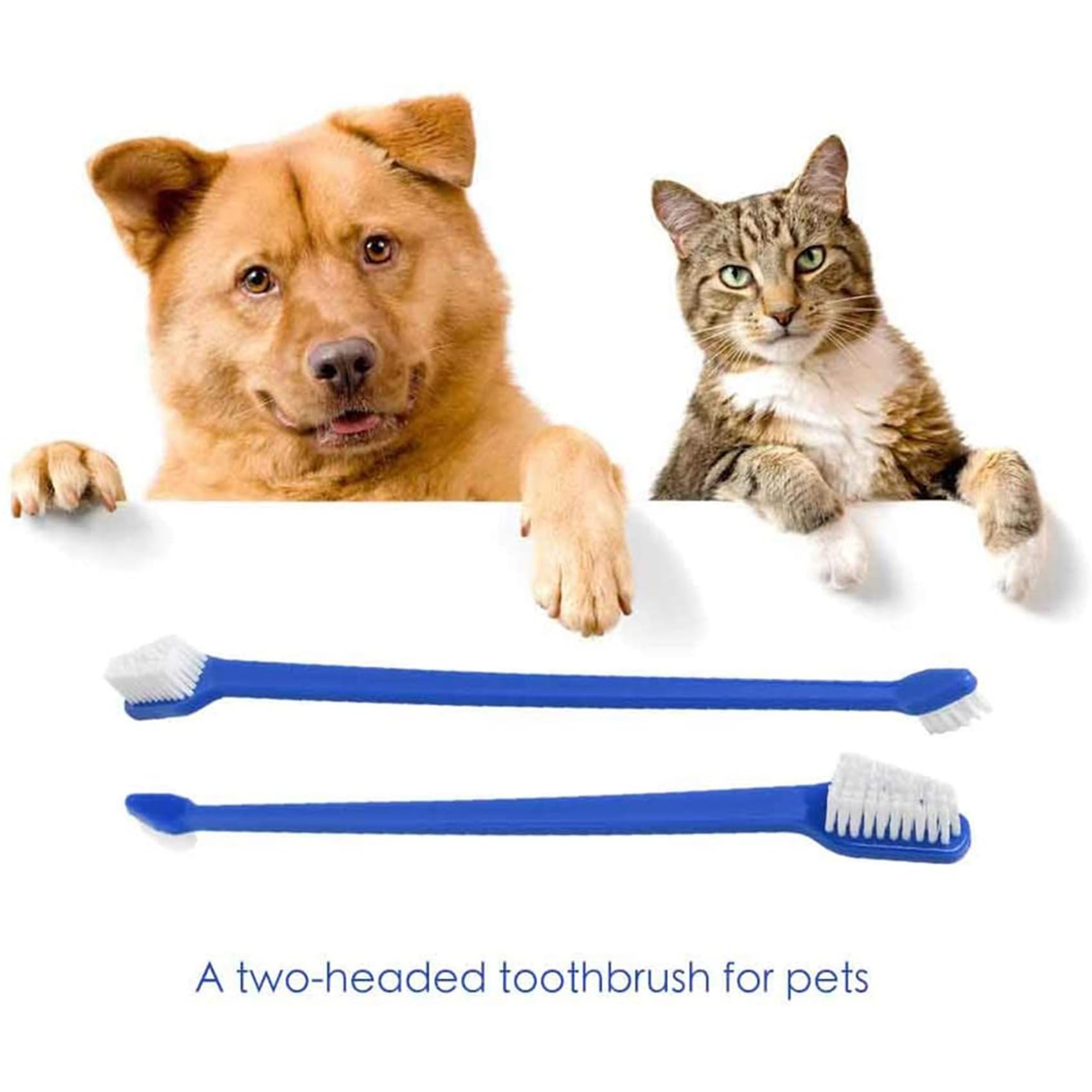 Ensemble de Brosse à Dents pour Animaux Compagnie, 200 Pièces, Ensemble de Brosses à Dents Dentaires Pratiques à Double TêTe pour Chien en Toute SéCurité, Soins Dentaires pour Chat