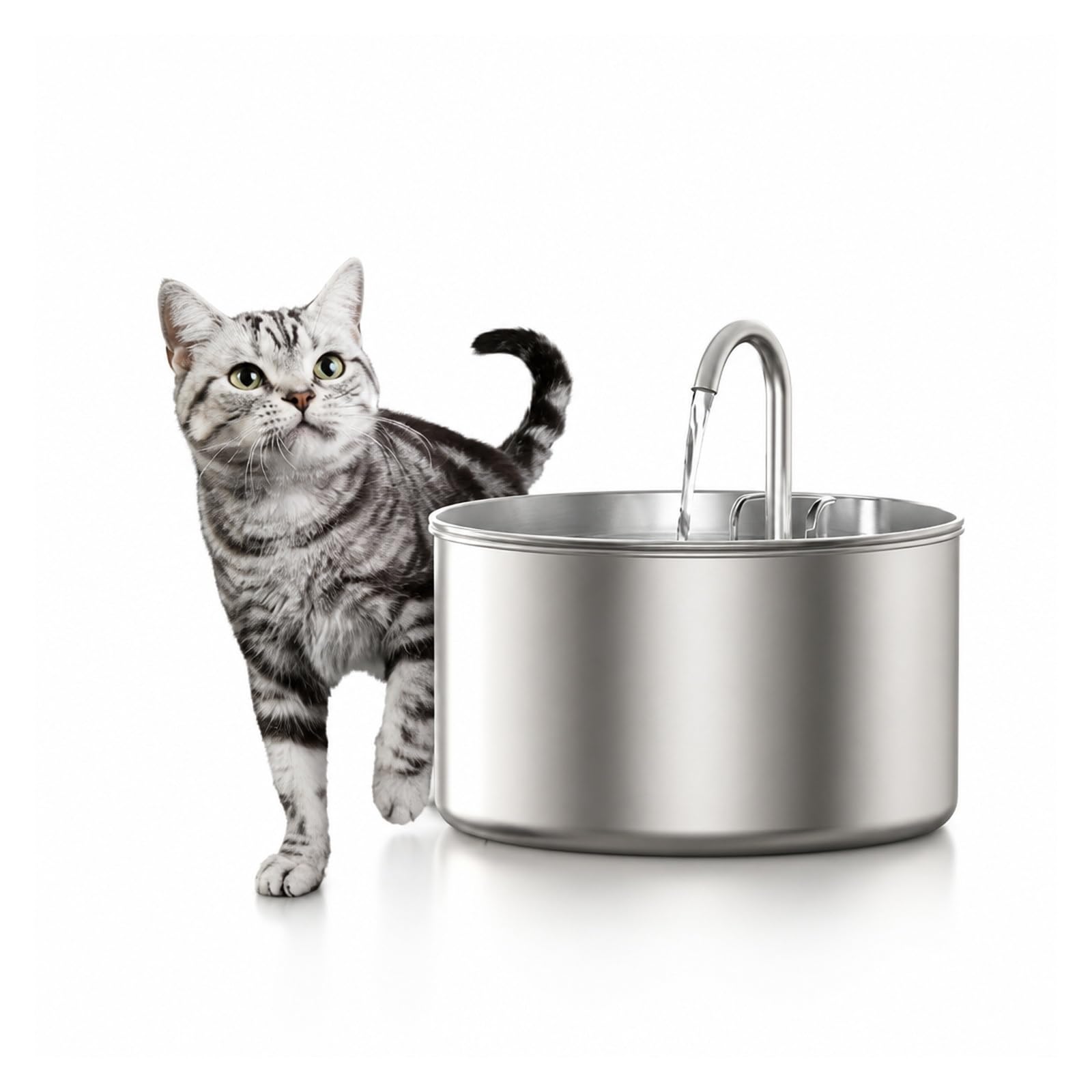 Fuente de Agua para Mascotas, Fuente de Agua automática Cat de 2,2 l/74 oz de Acero Inoxidable(Only 2.2L Fountain)