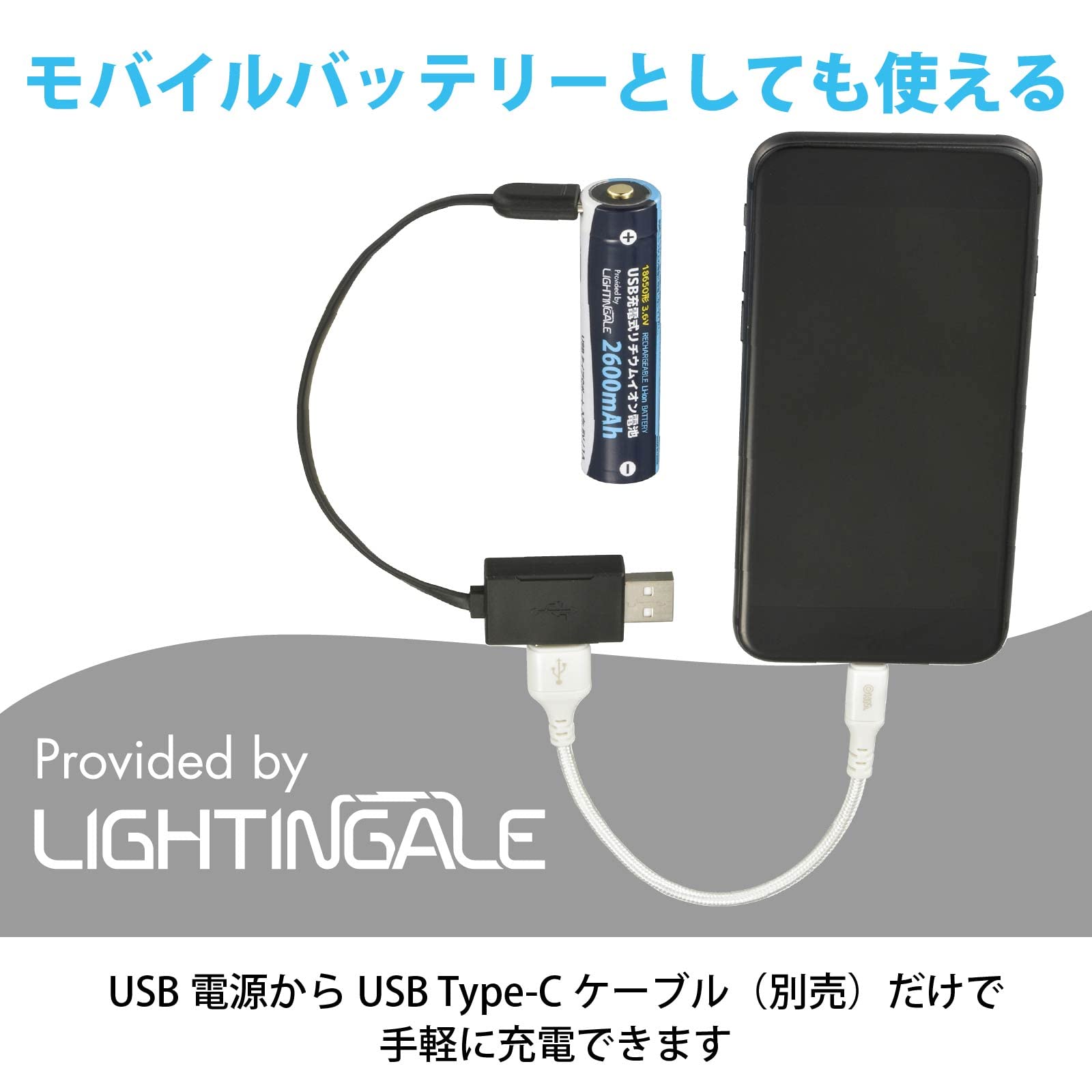 Amazon | オーム電機 USB充電式リチウムイオン電池 18650形 2600mAh