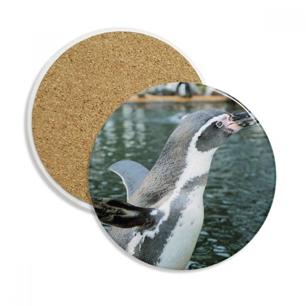 Dessous de verre antarctique pingouin en céramique absorbante pour tasse et mug x2