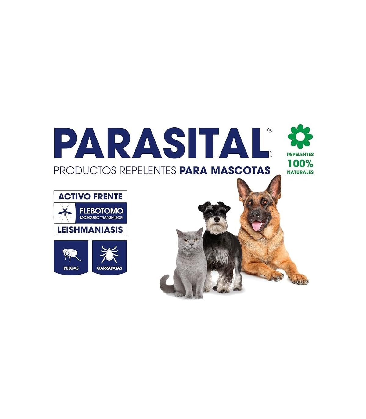 Zotal Petites pipettes ciens et chats jusqu'à 10 kg 3 pipettes anti parasites 100 % composants naturels spécial Leishmaniose puces et tiques, 1 mois de protection garanti.