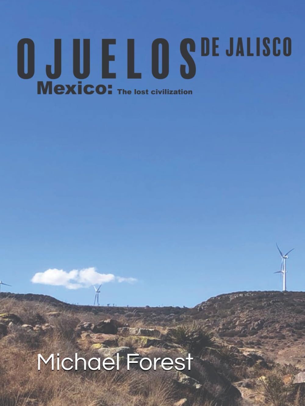 Ojuelos de Jalisco, Mexico - The lost civilization      Hardcover – March 5, 2024