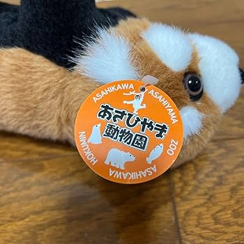 Amazon.co.jp: あさひやま動物園 レッサーパンダぬいぐるみ : おもちゃ
