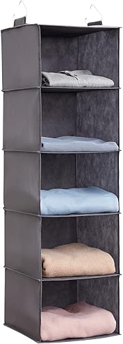 Lifewit Organizador colgante de armario de 5 estantes con 2 ganchos resistentes, estantes de almacenamiento colgantes para armario, organizador
