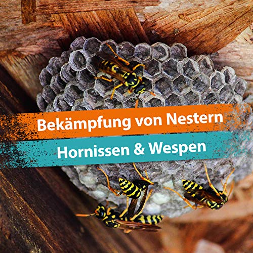 Ida Plus Wespenschaum 300ml – Effektiver Antiwespen Schaum
