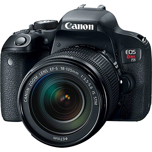 Canon EOS Rebel T7i DSLR con lente 18-135mm miniatura 2