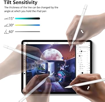 Classic iPad Stylus USB C