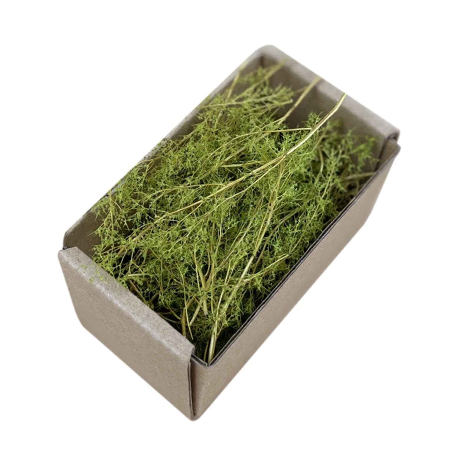Realistic Miniature Grass Scenery DIY Model for Railways Fairy Garden Trains Spring-image-16