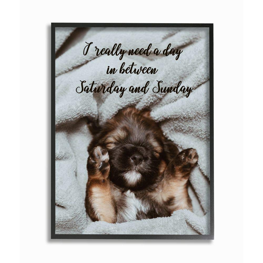 Stupell Industries Three Day Weekend Phrase Funny Puppy Pet Humor