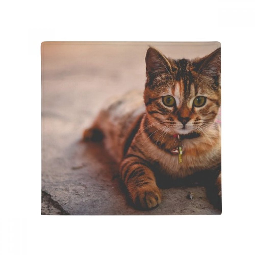 Tapis de sol chat multicolore 50x50cm antidérapant pour cuisine et salon