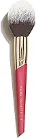 NIINA SECRETS PINCEL BLUSH