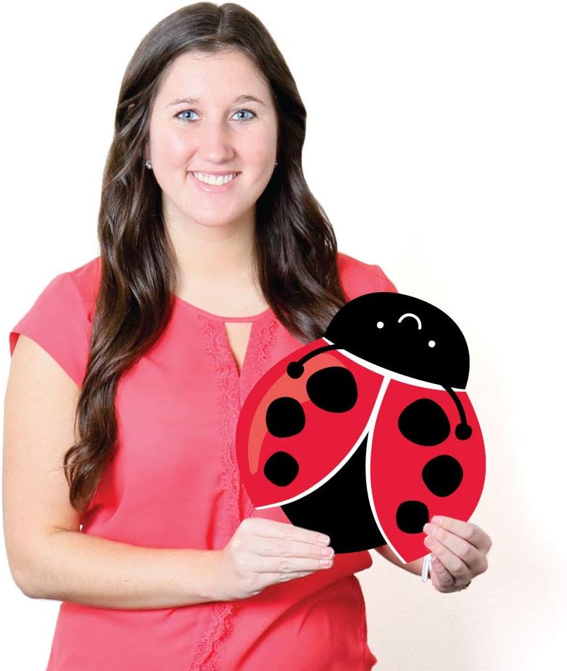 Big Dot of Happiness Happy Little Ladybug - Lawn Outdoor Baby Shower or Birthday Party Yard Decorations - 10 Piece