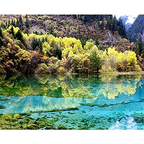 Peinture diamant 5D paysage kit complet cadeau loisirs créatifs