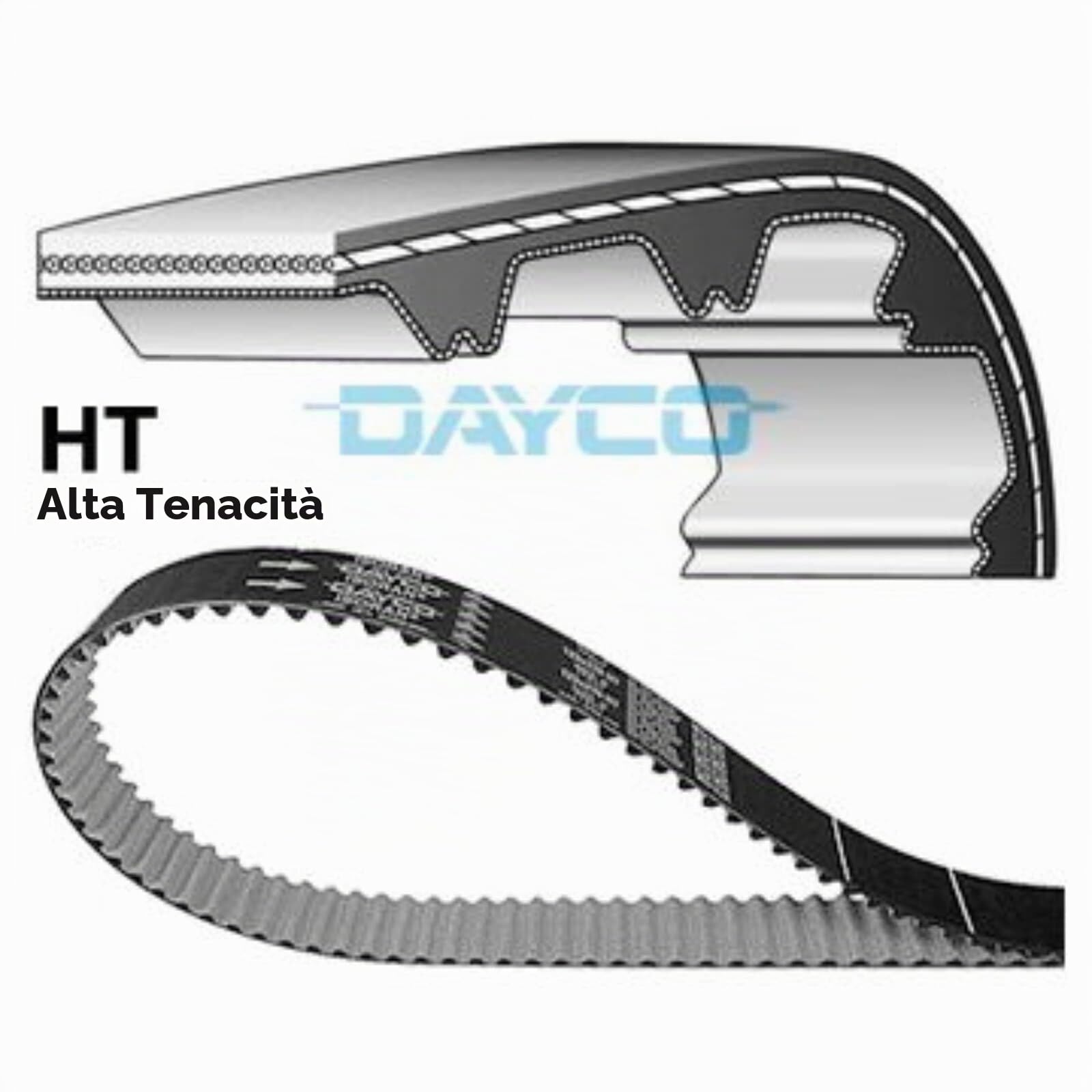 DAYCO KTBWP7640 KIT DISTRIBUZIONE CON POMPA ACQUA FO.CMAX II (Cinghia HT