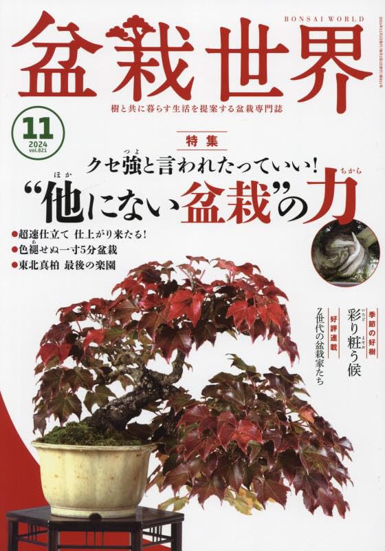 盆栽世界 2024年 11 月号 [雑誌] |本 | 通販 | Amazon