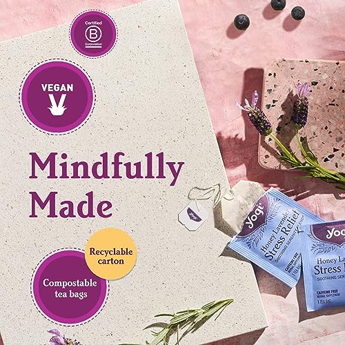 image for Yogi Tea Spiced Blackberry Focus Tea - 16 Tea Bags per Pack (4 Packs) 