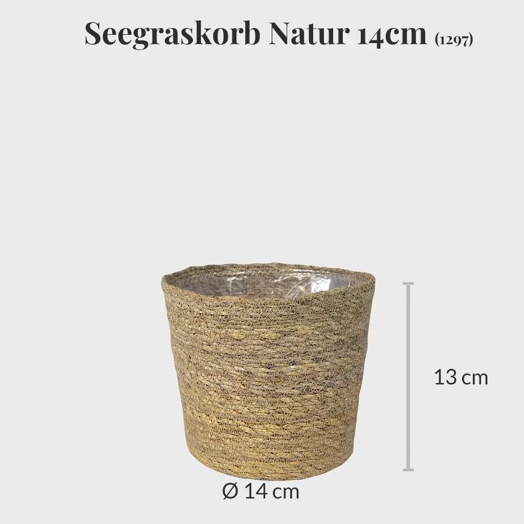 3er Blumentopf Set | 2X Keramikübertopf Weiß (13 cm), 1x Seegraskorb Natur (14 cm) | hängende Blumenkübel für Pflanzen und Kräuter | Boho Deko
