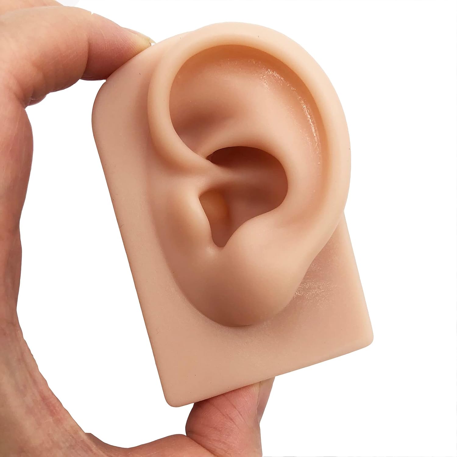 2 pcs Soft Silicone Ear Model, Left and Right Flexible Fake Ear for Piercing Practice, Realistic Ear Mold for Jewelry Display Acupuncture Mannequin Learning (Light Brown) - Image 2