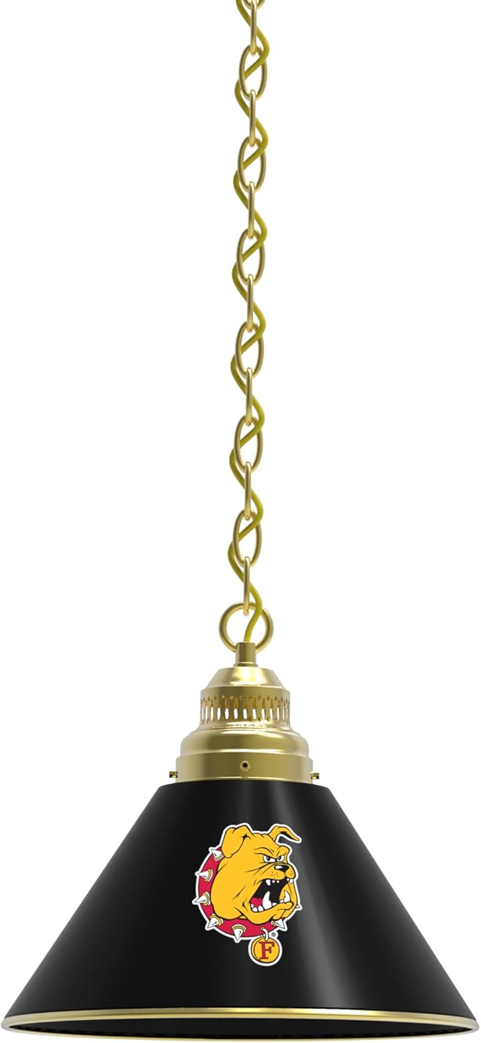 HBS Ferris State Single Shade Pendant Light