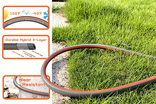 Blütezeit Retractable Garden Hose Reel, 1/2'' X 65Ft+6Ft Wall Mount Water Hose Reel, 8 Function Hose Nozzle, Any Length Lock, 180° Swivel Bracket, Automatic Slow Rewind System #TOP4