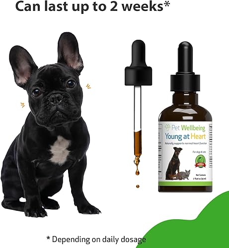 Miniatura 7 de Pet Wellbeing Young at Heart for Dogs - Formulado por veterinarios - Apoya la salud cardiovascular corazón y circulatoria - Suplemento de hierbas
