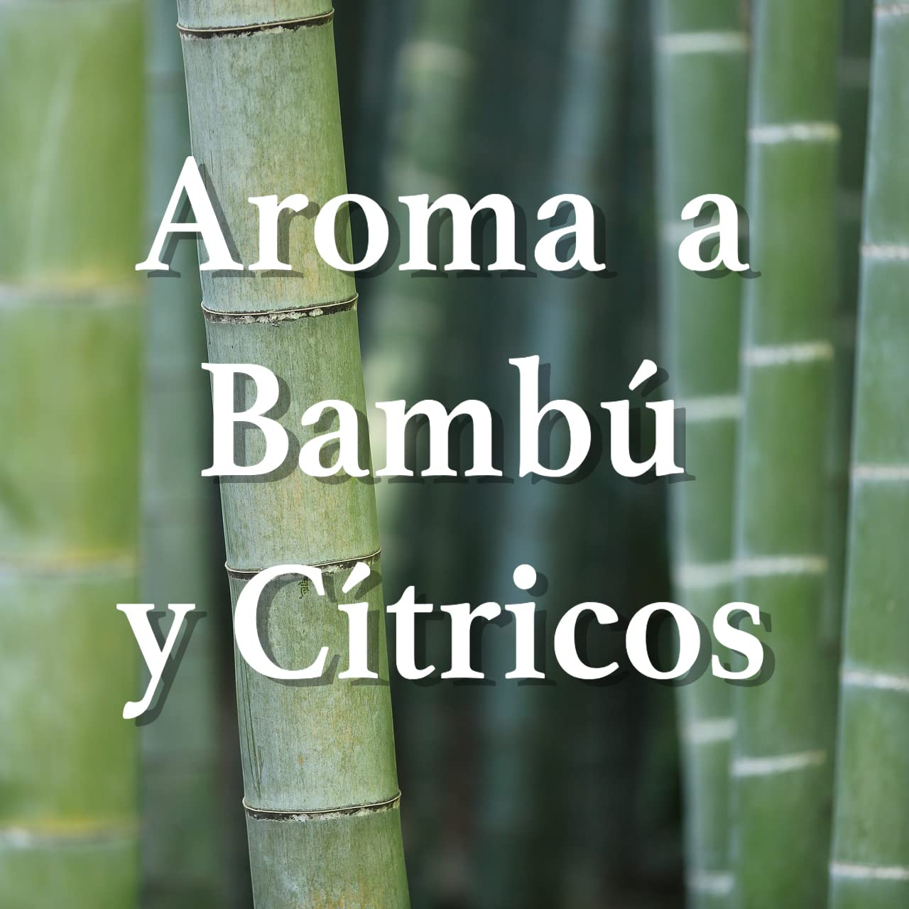 ORION Protección Total - Pinzas Antipolillas para Armarios, Aroma Bambú y Cítricos, 2 Unidades
