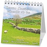 Tiefen Frieden wünsche ich dir 2026: Aufstellkalender mit irischen Segenswünschen