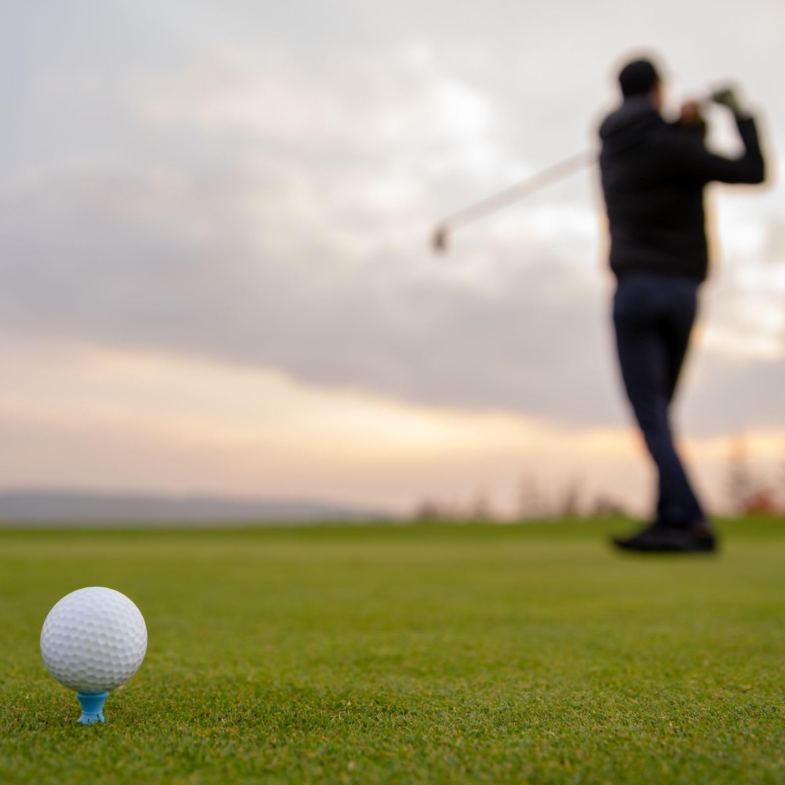 Trawa do orodów i pól golfowych BARENBRUG Fescue Plus 15 kg PROFESJONALNA!