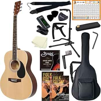 HONEY BEE アコースティックギター　F-15 61bWntyl-uL._AC_UF350,