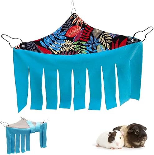 RIOUSSI Escondite de conejillo de Indias Escondite Felipe