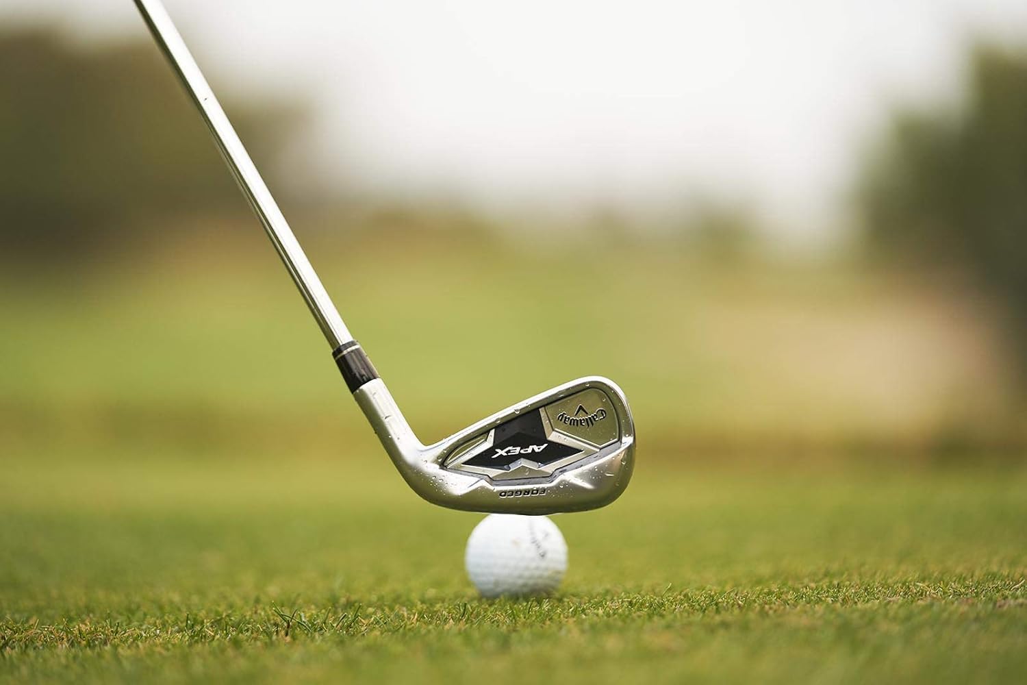 赤井林檎遊戯王 ARS10青眼の究極亜竜 20thシークレット 赤井林檎遊戯王