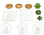 Mkono Artificial Succulent in Clear Glass Pot, Set of 3 Mini Potted Fake Plants for Women Office Decor Small Faux Green Plant with BambooTray for Bookshelf Bathroom Kitchen Decor Tabletop Centerpiece