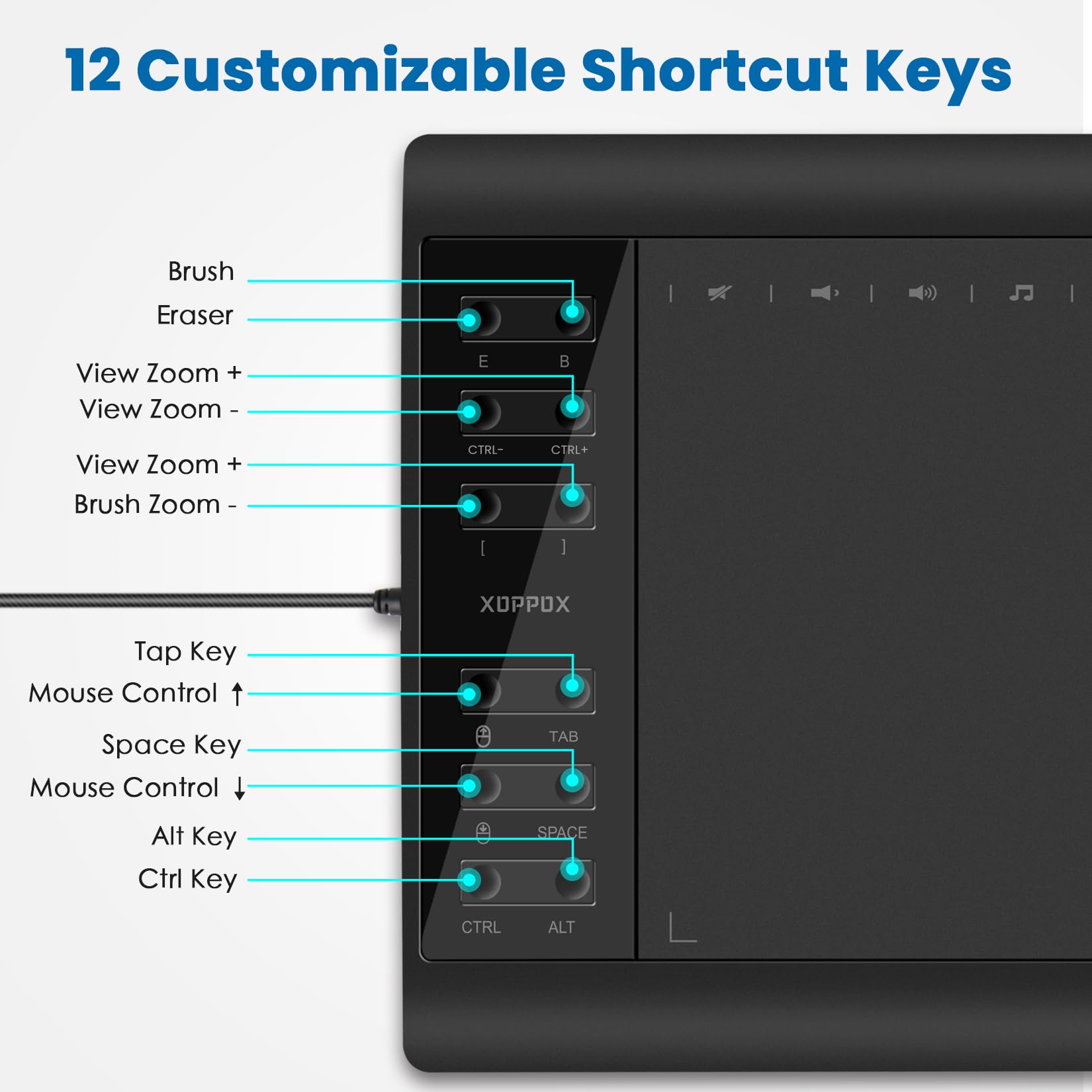 XOPPOX Graphics Drawing Tablet 10 x 6 Inch Large Active Area with 8192 Levels Battery-Free Pen and 12 Hot Keys, Compatible with PC/Mac/Android OS for Painting, Design & Online Teaching Black