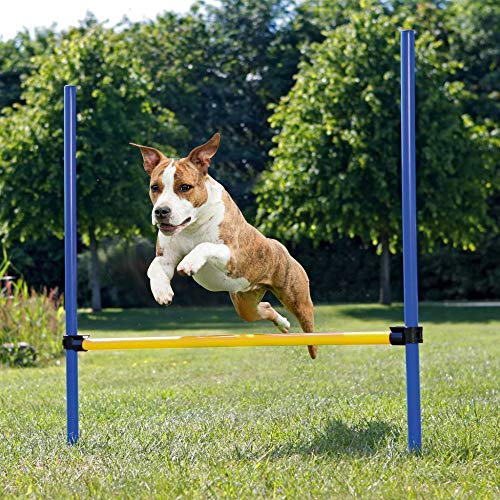 Pet Prime Pet Dog Outdoor Giochi Agilità Esercizio Attrezzatura Jump Hurdle Bar Obedienza Show Formazione per Cani