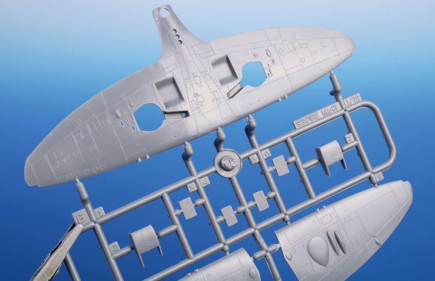 Amazon | スペシャルホビー 1/72 イギリス スーパーマリン シー