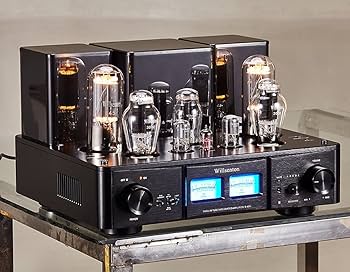 Amazon.co.jp: Willsenton R-800i 300B 845 真空管アンプ