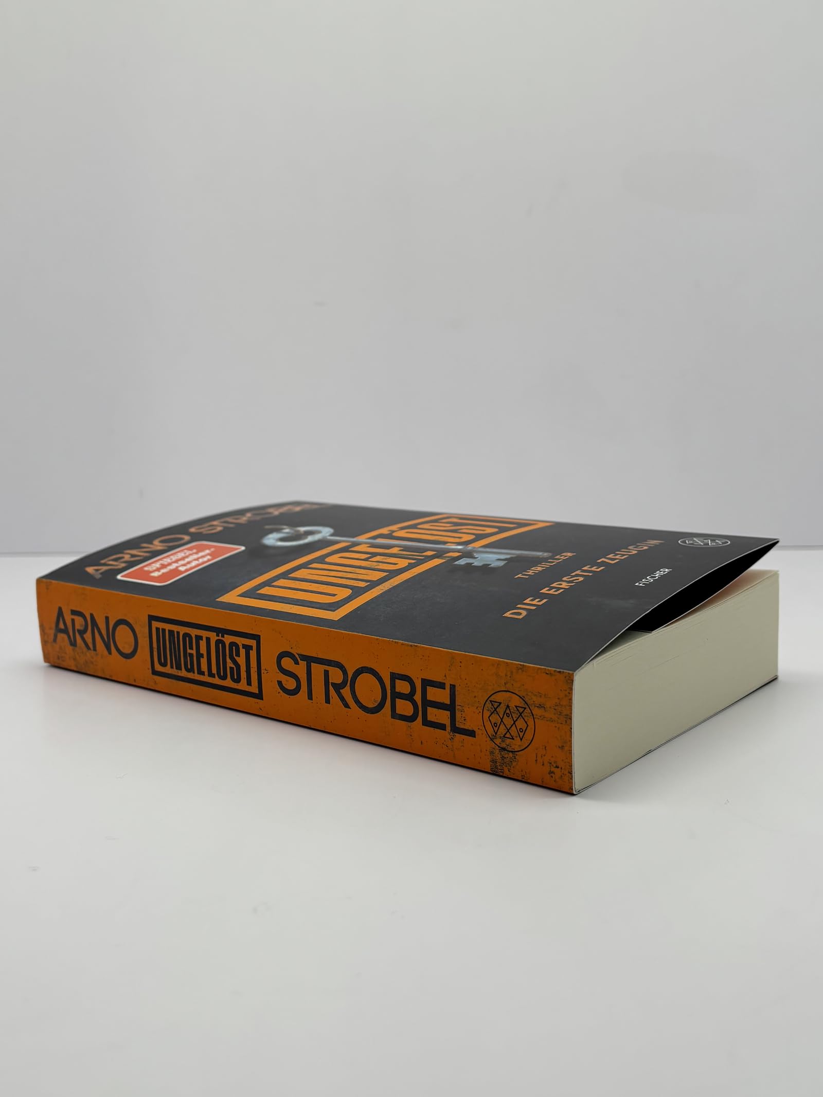 Die erste Zeugin: Thriller