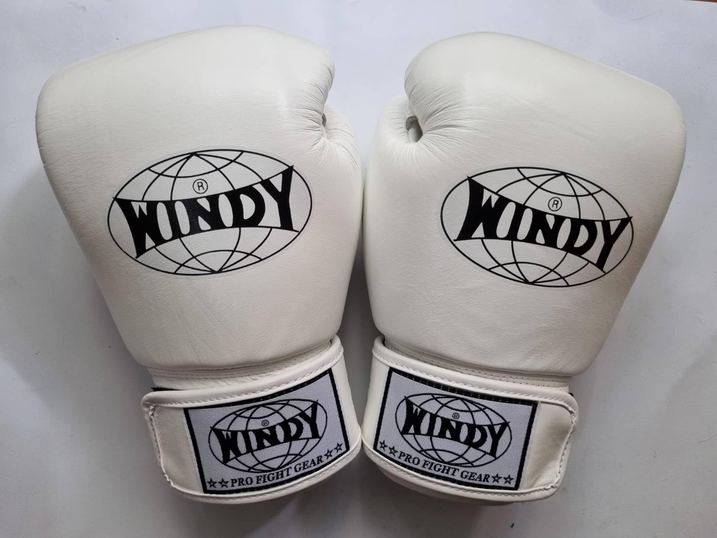 Amazon.co.jp: WINDY- BGVH Classic Genuine Leather ウィンディ