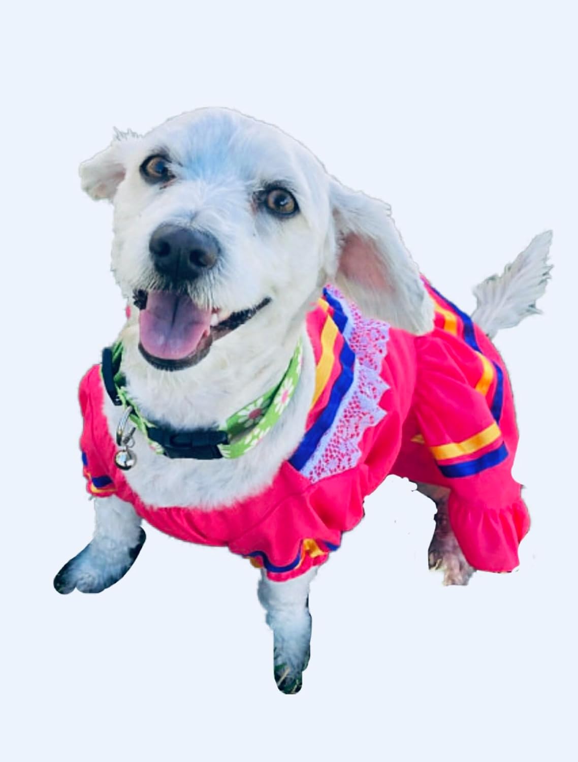 Escaramuza dog dress/Mexican dog dress (Medium, Pink)